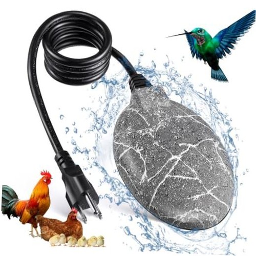 Bird bath heaters for - bird,