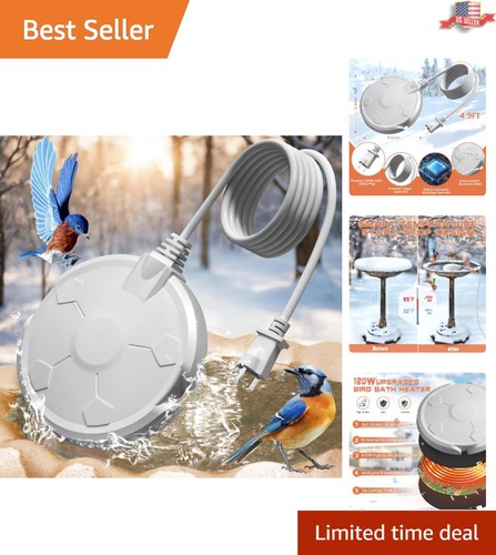 Winter bird bath - winter,