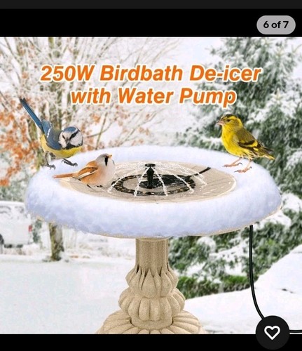 250w bird bath heater - bird,