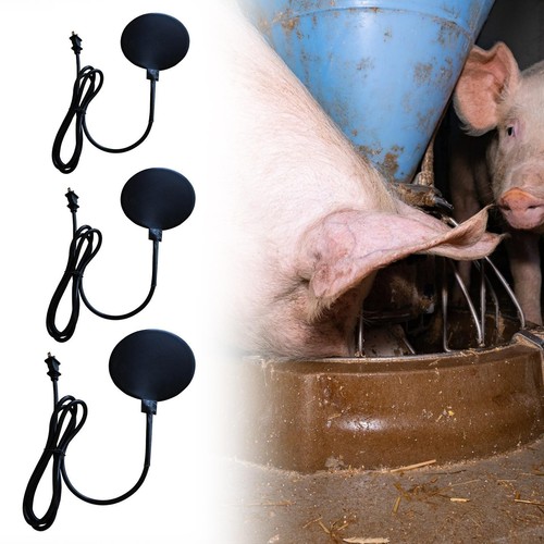 Bird bath heater - bird,