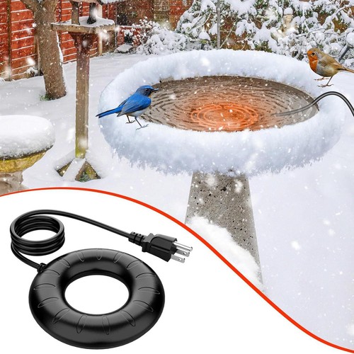 Bird bath heater - bird, winter