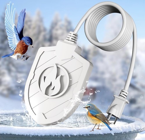 Bird bath heater outdoors - bird, in